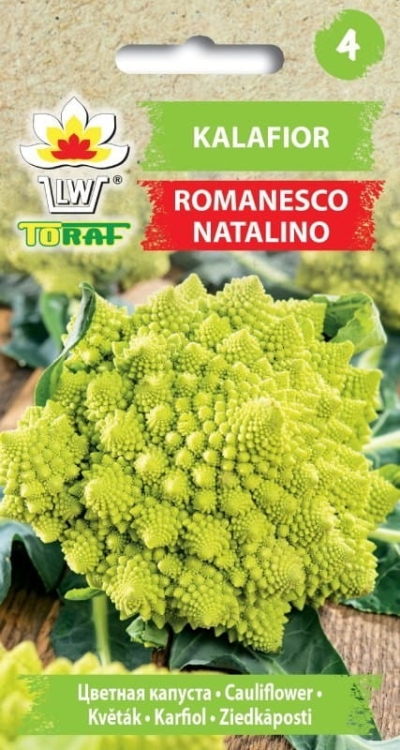 kalafior-romanesco-natalino-nasiona-warzyw-1g.jpg