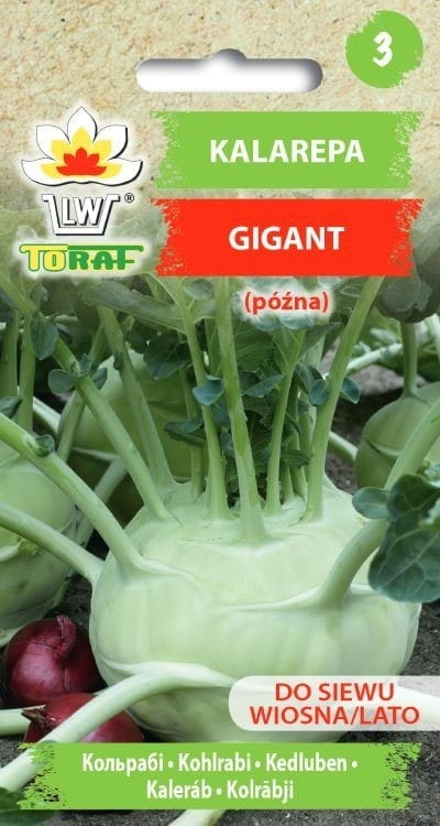 kalarepa-gigant-nasiona-warzyw-2g.jpg