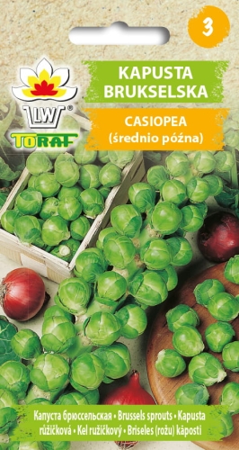 kapusta-brukselska-casiopea-nasiona-warzyw-1g.jpg