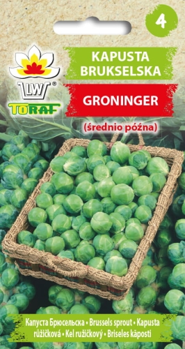 kapusta-brukselska-groninger-nasiona-warzyw-2g.jpg