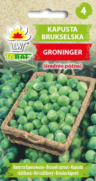 kapusta-brukselska-groninger-nasiona-warzyw-2g.jpg