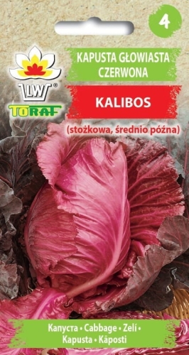 kapusta-kalibos-nasiona-warzyw-1g.jpg