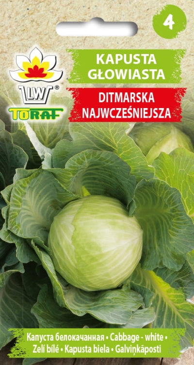 kapusta-ditmarska-nasiona-warzyw-2g.jpg
