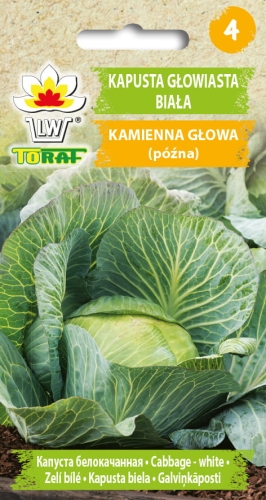 kapusta-kamienna-glowa-nasiona-warzyw-2g.jpg