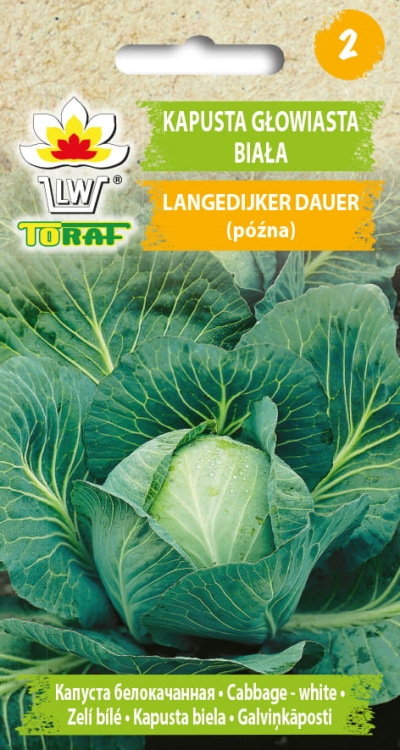 kapusta-langedijker-dauer-nasiona-warzyw-2g.jpg