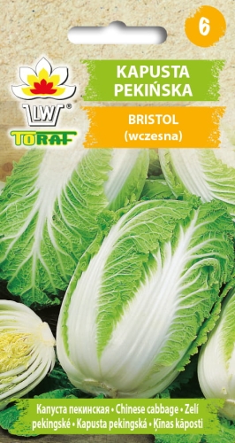 kapusta-pekinska-bristol-nasiona-warzyw-1g.jpg
