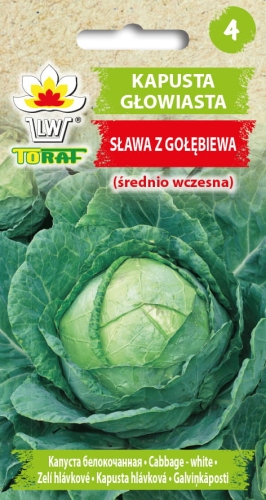 kapusta-slawa-z-golebiewa-nasiona-warzyw-2g.jpg