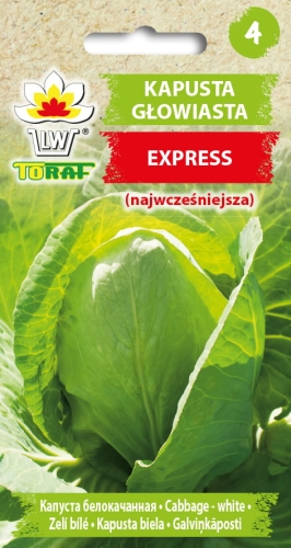 kapusta-express-nasiona-warzyw-1g.jpg