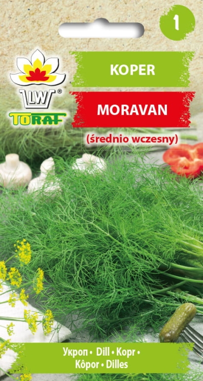 koper-moravan-nasiona-warzyw-5g.jpg