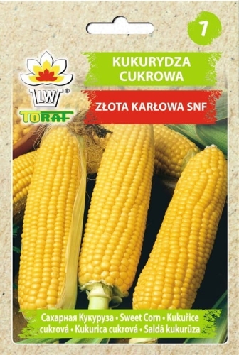 kukurydza-zlota-karlowa-nasiona-warzyw-20g.jpg