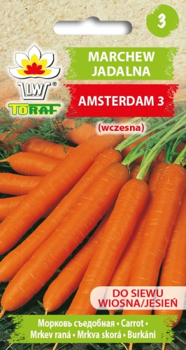 marchew-amsterdam-nasiona-warzyw-5g.jpg
