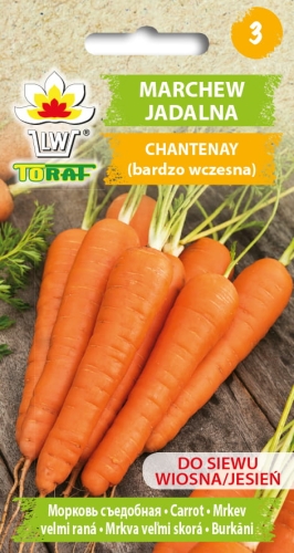 marchew-chantenay-nasiona-warzyw-5g.jpg
