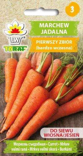 marchew-pierwszy-zbior-nasiona-warzyw-5g.jpg