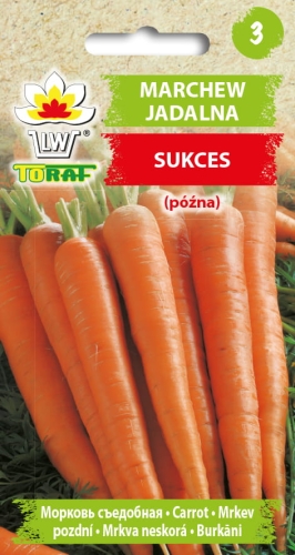 marchew-sukces-nasiona-warzyw-5g.jpg