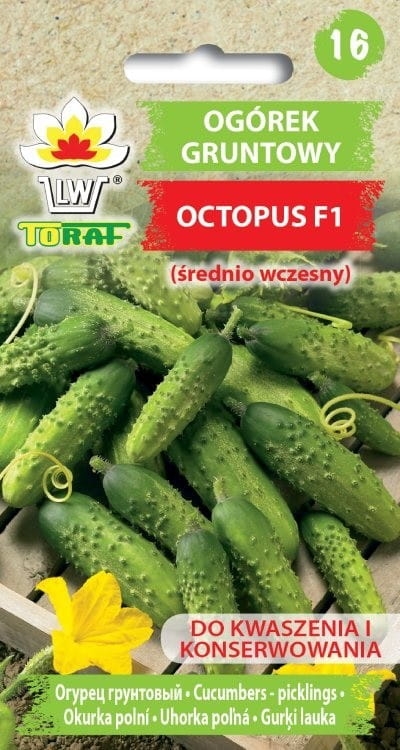 ogorek-octopus-nasiona-warzyw-1g.jpg
