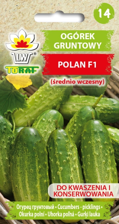 ogorek-polan-nasiona-warzyw-5g.jpg