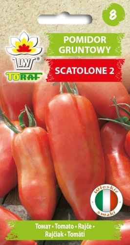 pomidor-scatolone-nasiona-warzyw.jpg