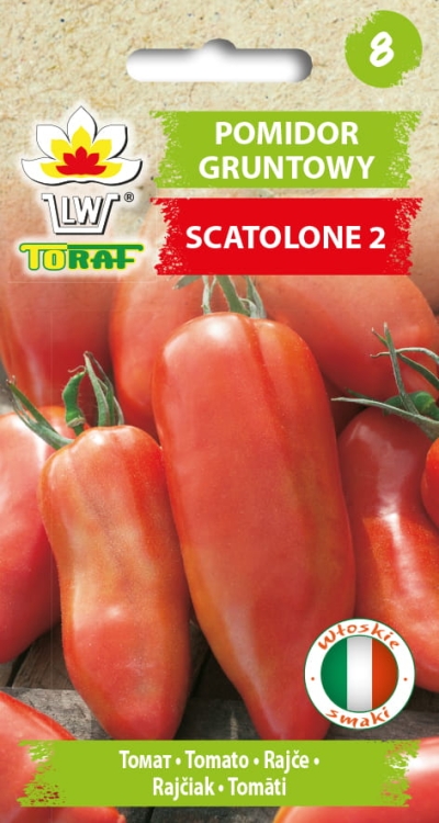 pomidor-scatolone-nasiona-warzyw.jpg
