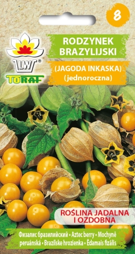 rodzynek-brazylijski-jagoda-inkaska-nasiona.jpg