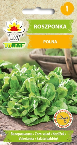 roszponka-nasiona-warzyw-1g.jpg