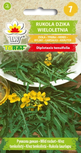 rukola-dzika-wieloletnia-nasiona-warzyw-1g.jpg