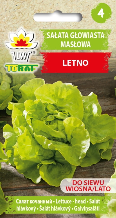 salata-maslowa-lento-nasiona-warzyw-1g.jpg