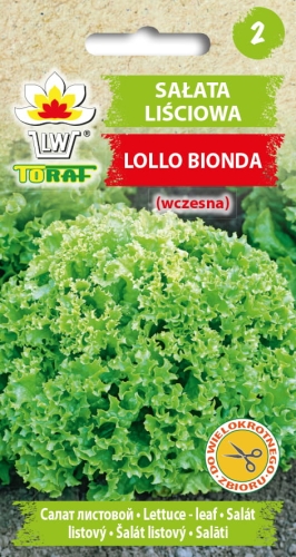 salata-lisciowa-lollo-bionda-nasiona-warzyw-1g.jpg