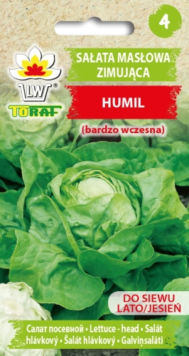 salata-maslowa-zimowa-humil-nasiona-warzyw-1g.jpg