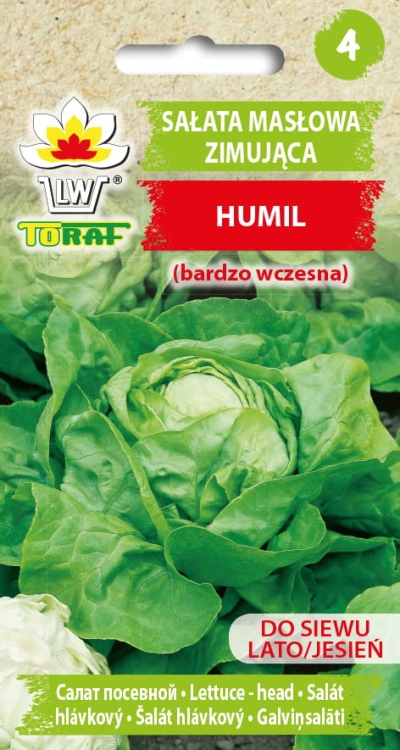 salata-maslowa-zimowa-humil-nasiona-warzyw-1g.jpg