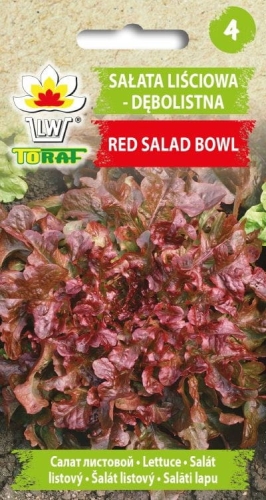 salata-lisciowa-debolistna-red-salad-bowl-nasiona-warzyw.jpg