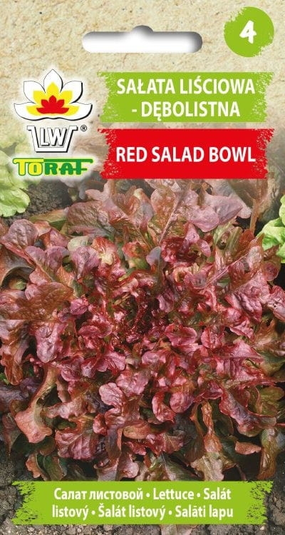 salata-lisciowa-debolistna-red-salad-bowl-nasiona-warzyw.jpg