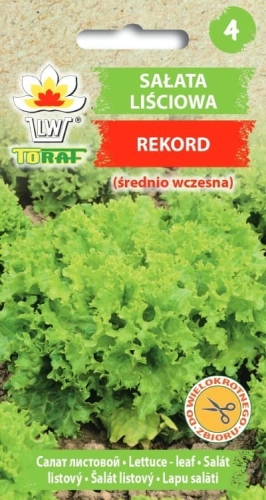 salata-lisciowa-rekord-nasiona-warzyw-1g.jpg