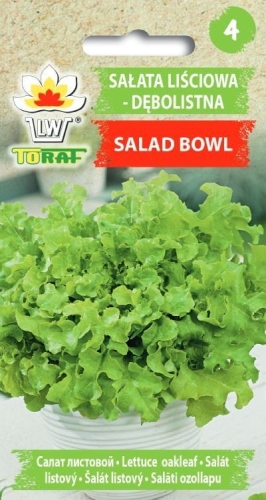 salata-lisciowa-salad-bowl-nasiona-warzyw-1g.jpg