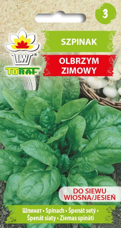 szpinak-olbrzym-zimowy-nasiona-warzyw-10g.jpg