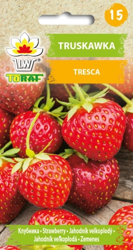 truskawka-tresca-nasiona-warzyw.jpg