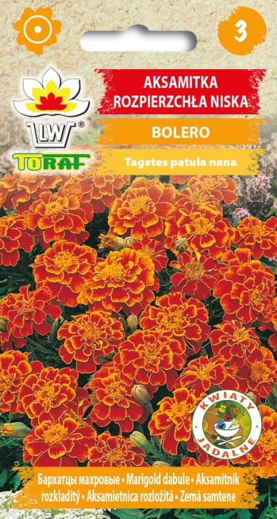 aksamitka-bolero-nasiona-kwiatow.jpg