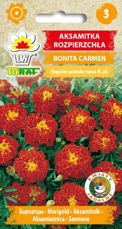 aksamitka-bonita-carmen-nasiona-kwiatow.jpg
