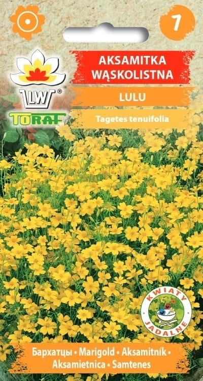 aksamitka-lulu-nasiona-kwiatow.jpg