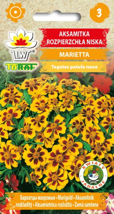 aksamitka-marietta-nasiona-kwiatow.jpg
