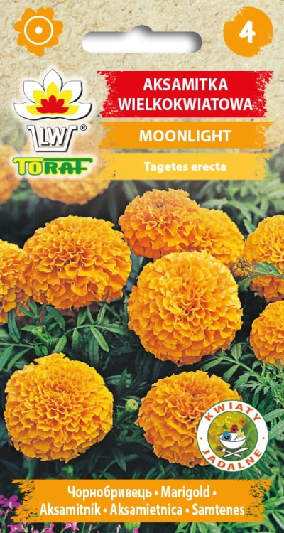 aksamitka-moonlight-pomaranczowa-nasiona-kwiatow.jpg