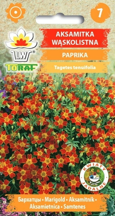 aksamitka-waskolistna-paprika-nasiona-kwiatow.jpg