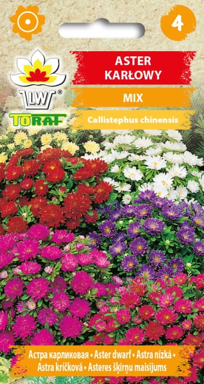 aster-karlowy-mieszanka-nasiona-kwiatow.jpg