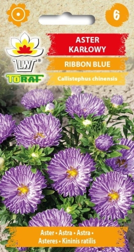 aster-karlowy-ribbon-blue-nasiona-kwiatow.jpg
