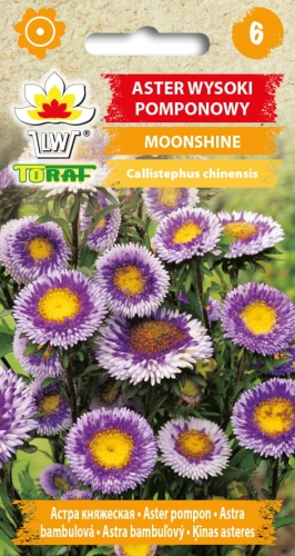 aster-pomponowy-moonshine-nasiona-kwiatow.jpg