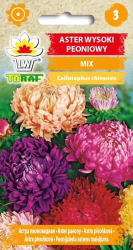 aster-peoniowy-mieszanka-nasiona-kwiatow.jpg