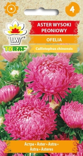 aster-peoniowy-ofelia-nasiona-kwiatow.jpg
