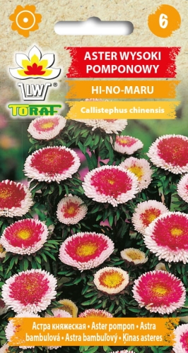 aster-pomponowy-hi-no-maru-nasiona-kwiatow.jpg