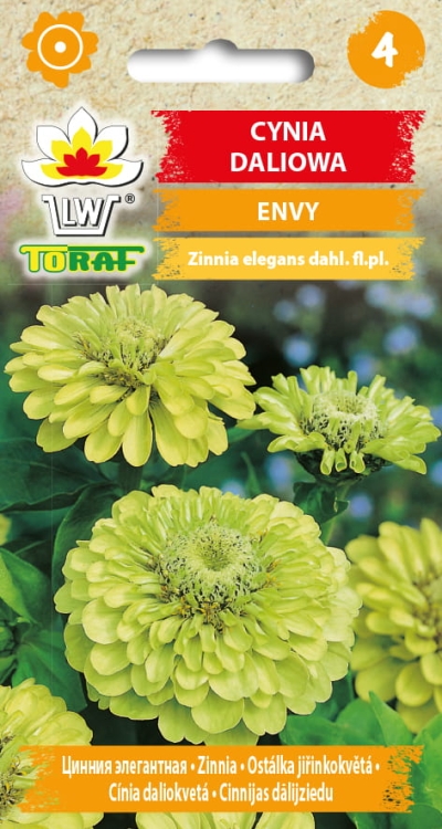 cynia-daliowa-envy-nasiona-kwiatow.jpg