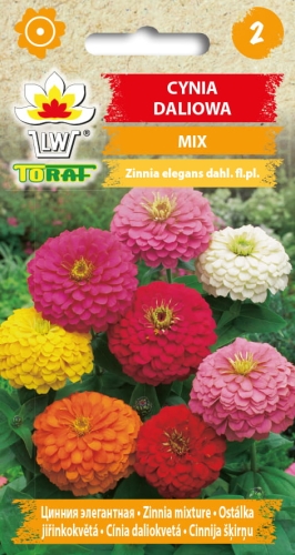 cynia-daliowa-mieszanka-nasiona-kwiatow.jpg