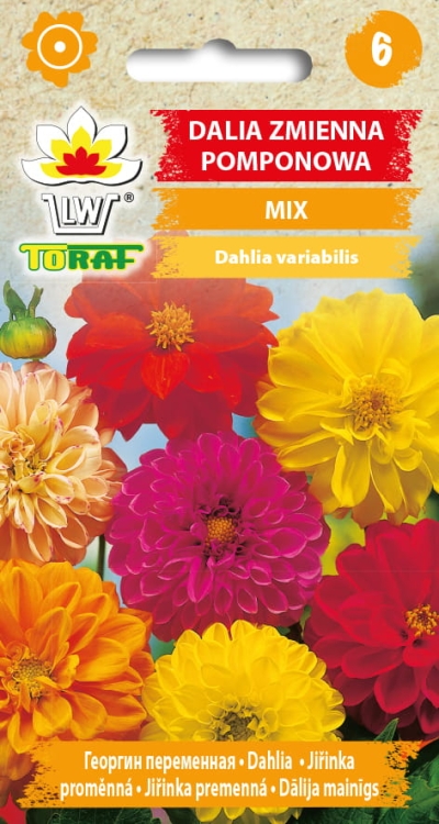 dalia-pomponowa-mieszanka-nasiona-kwiatow.jpg